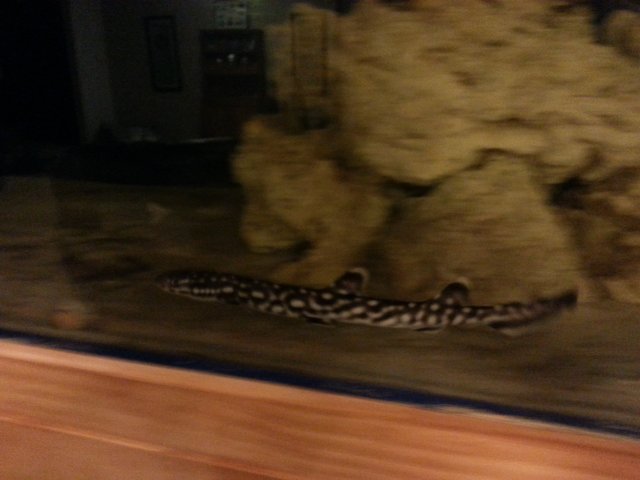 20150626_060453.jpg 20150626_060453.jpg