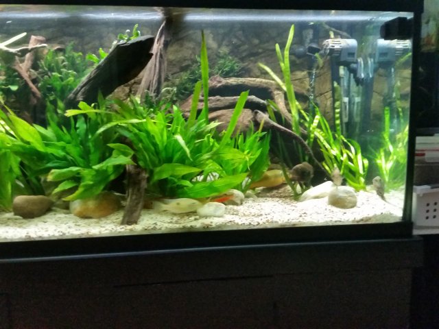 20150706_202155.jpg