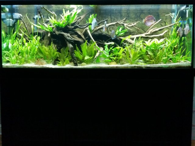 20150706_203030.jpg 20150706_203030.jpg