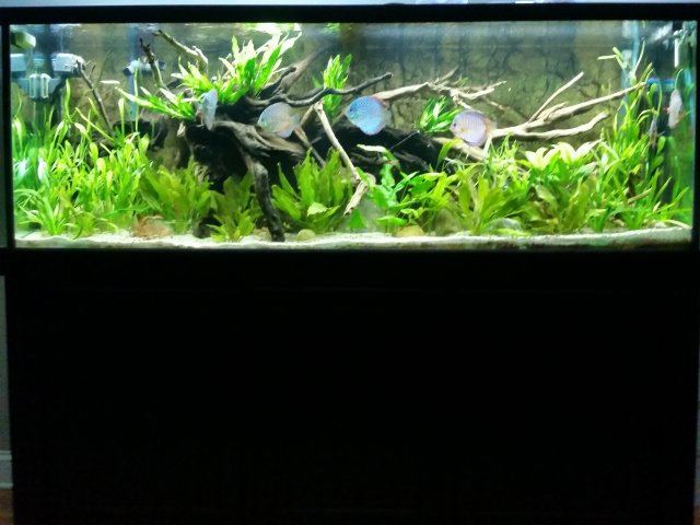 20150706_203019.jpg 20150706_203019.jpg