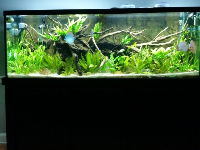 20150706_202910.jpg 20150706_202910.jpg