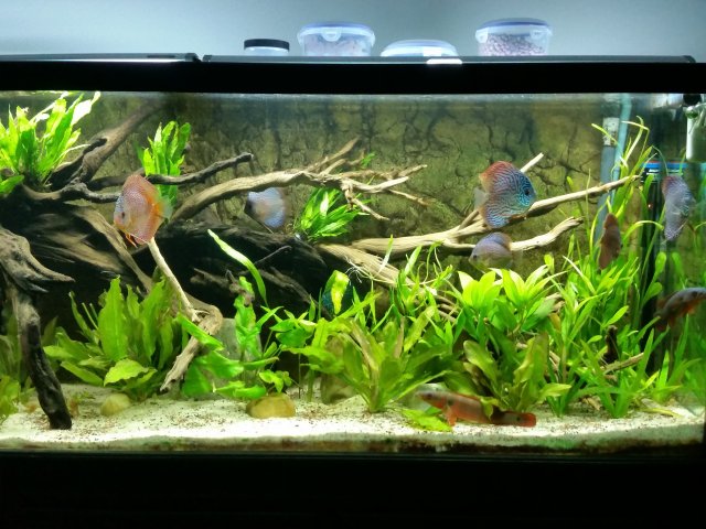 20150706_220849.jpg 20150706_220849.jpg