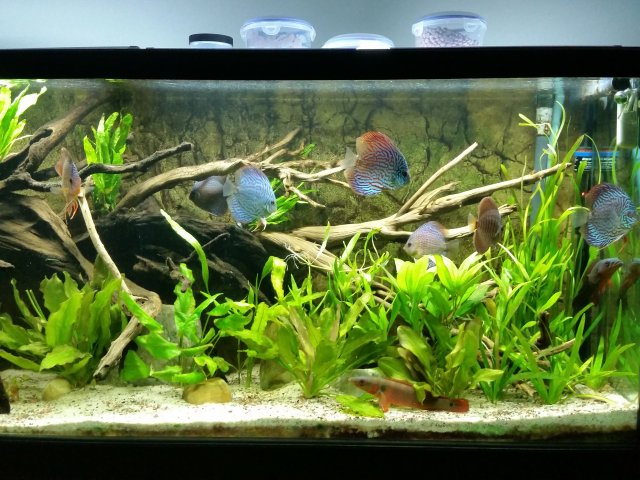 20150706_220841.jpg 20150706_220841.jpg