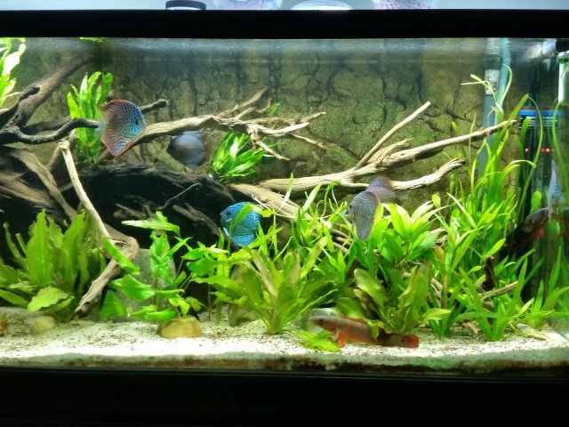 20150706_220831.jpg 20150706_220831.jpg