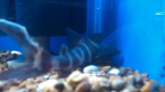 IMG_20150618_192515_108.jpg IMG_20150618_192515_108.jpg