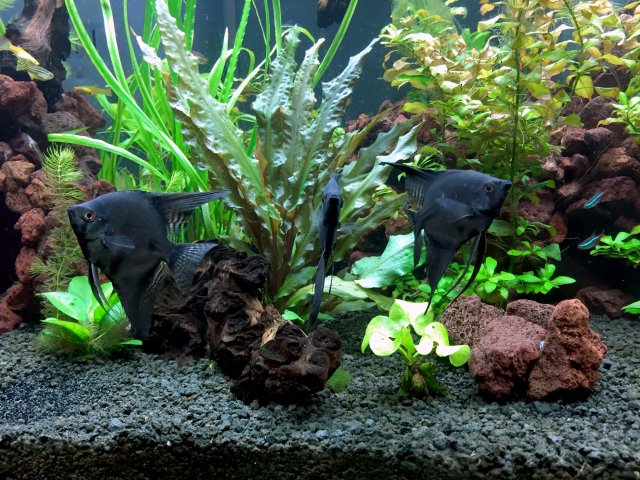 20150308_011639569_iOS.jpg