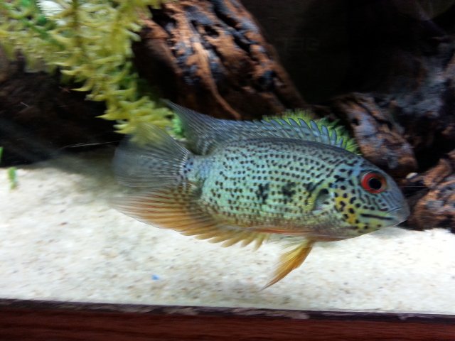 PSX_20150625_133513.jpg PSX_20150625_133513.jpg