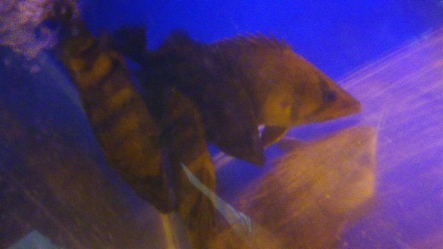 20150707_163640.jpg