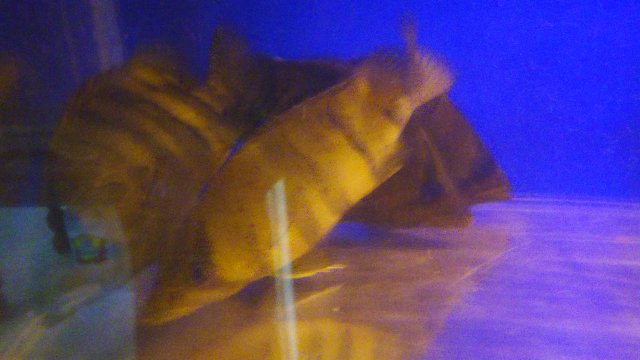 20150707_163711.jpg