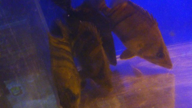20150707_163656.jpg
