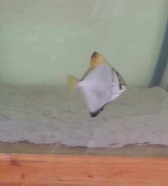 20150617_090538-1-1.jpg