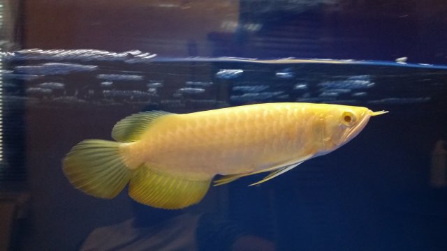 20150201_165052.jpg
