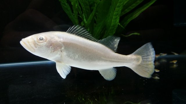 20150710_180959.jpg