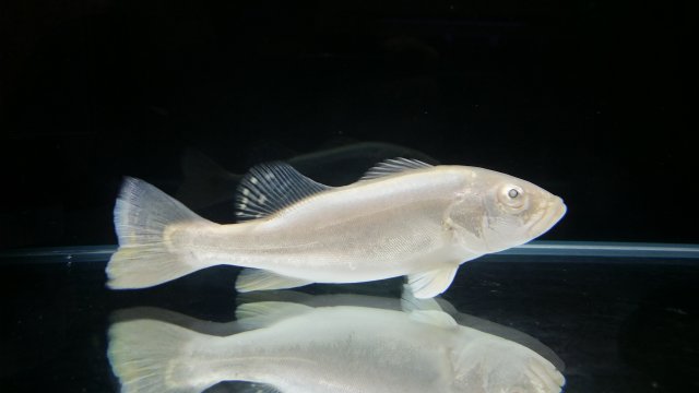20150710_180635.jpg