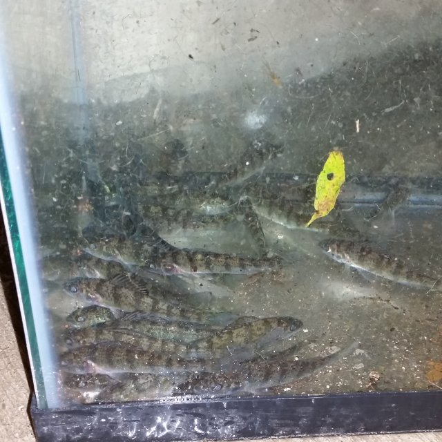 20150624_222317.jpg