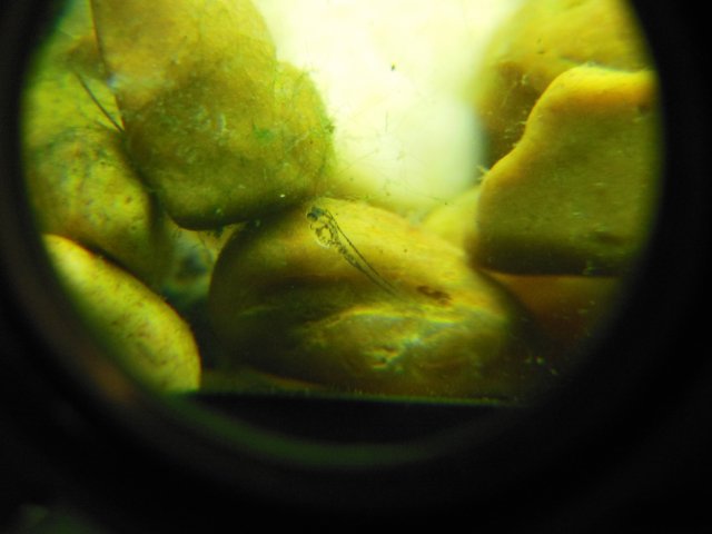 DSCN2760.JPG