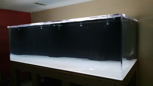 IMAG3521.jpg