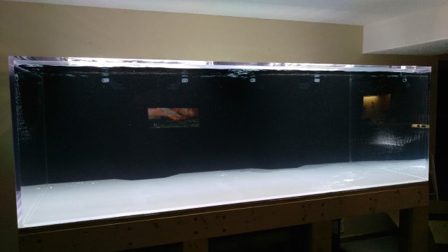 IMAG3523.jpg