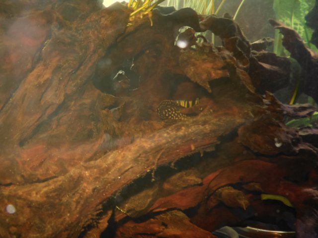 DSCN2943.JPG