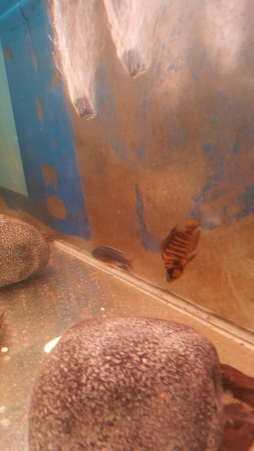 20150713_230042.jpg 20150713_230042.jpg