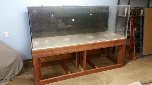 330fishtank2.jpg