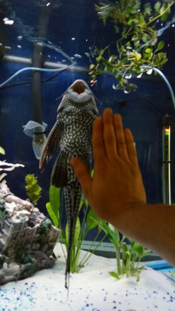 20150628_121407.jpg 20150628_121407.jpg