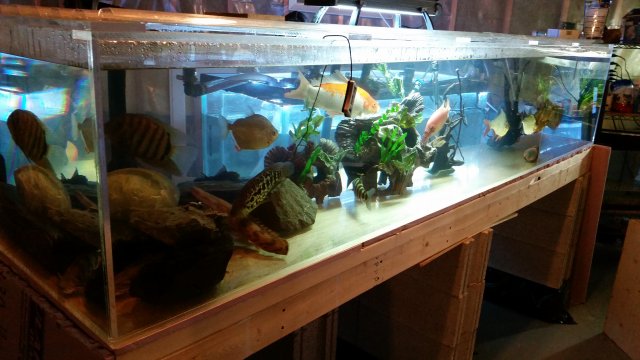 20150519_150758.jpg