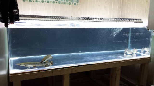 20150710_213848.jpg