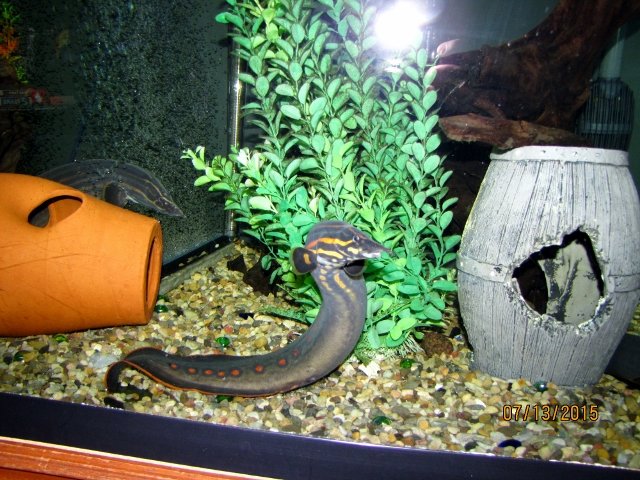 IMG_4227 (640x480).jpg