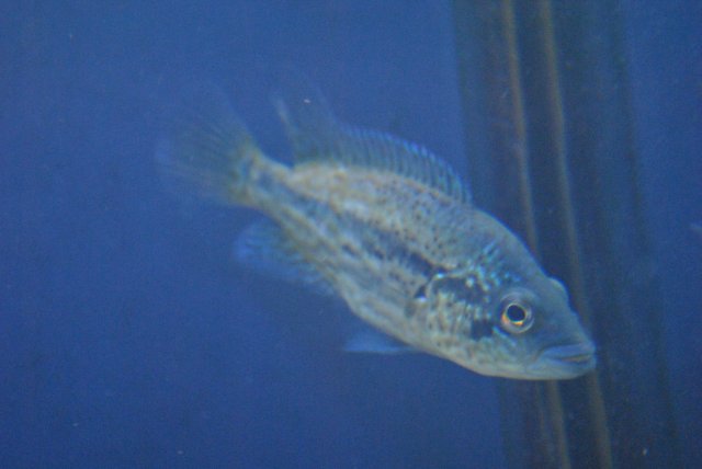 DSC_0032.JPG DSC_0032.JPG