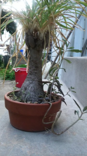 20150718_190251.jpg