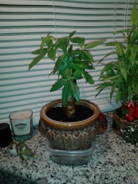 20150718_212504.jpg