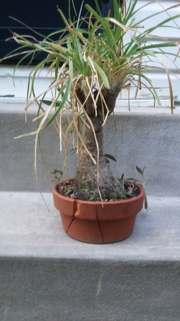 20150718_185636.jpg