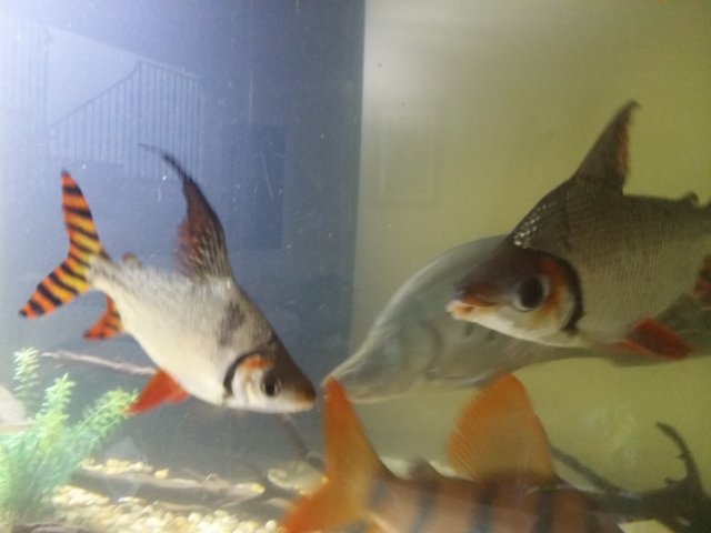 20150719_102004.jpg