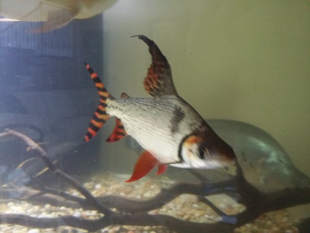 20150719_101911.jpg