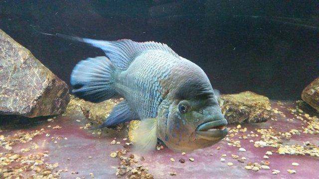 20150721_095549.jpg
