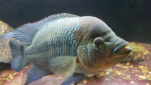 20150721_095615.jpg