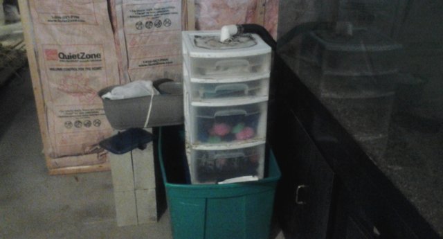 20150718_101053.jpg