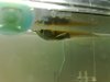 04072007256.jpg