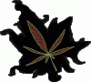 budleaf.gif