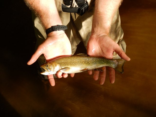 DSCN0931.JPG