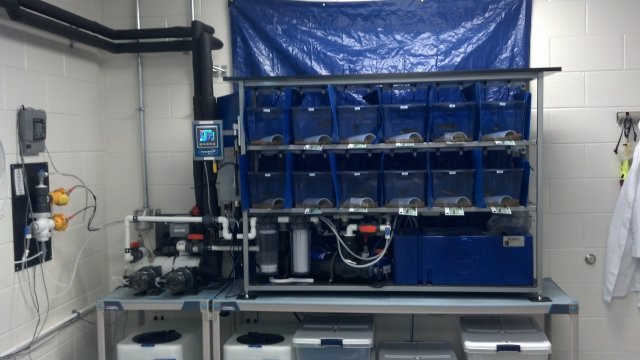 Fish Rack.jpg