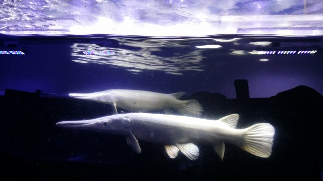 20150316_184008 (1).jpg