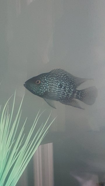 20150730_165134.jpg