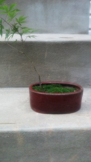 20150730_182408.jpg