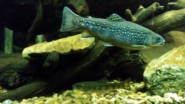 20150731_131631.jpg