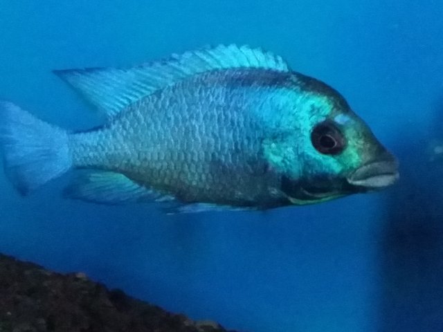 20150605_171732.jpg