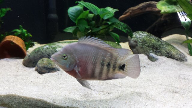 20150731_123947.jpg