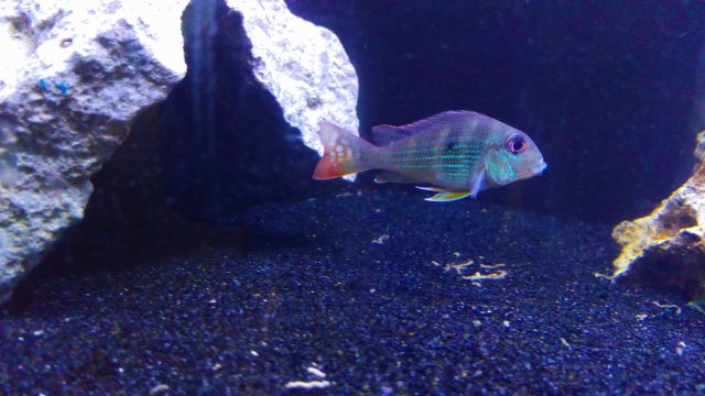 IMAG0189.jpg