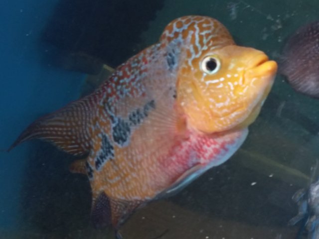 20150803_083719.jpg
